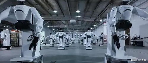 60亿元合约刷屏，人形机器人从秀场到车间 仓储业交付才是生死线