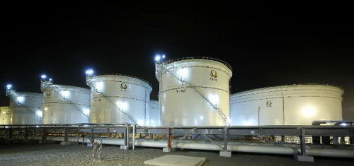 中石化境外项目荣膺全球仓储业殊荣，引领行业创新与标准化