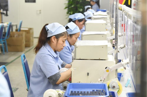 袁州区 产品出海势头劲，企业生产仓储忙